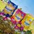 Sunlight 2-In-1 Tropical Sensations Hand Washing Powder (1kg)