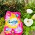 Sunlight 2-In-1 Spring Sensations Hand Washing Powder (1kg)