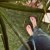 HAVAIANAS FLIP-FLOPS