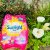 Sunlight 2-In-1 Spring Sensations Hand Washing Powder (1kg)