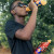 Oros Ready To Drink Range